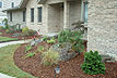 Landscape 9 [ANGLE 3]