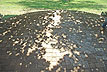 Walkway 13 [COMPLETED 3]
