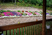 Wall 8 [ANGLE 5]